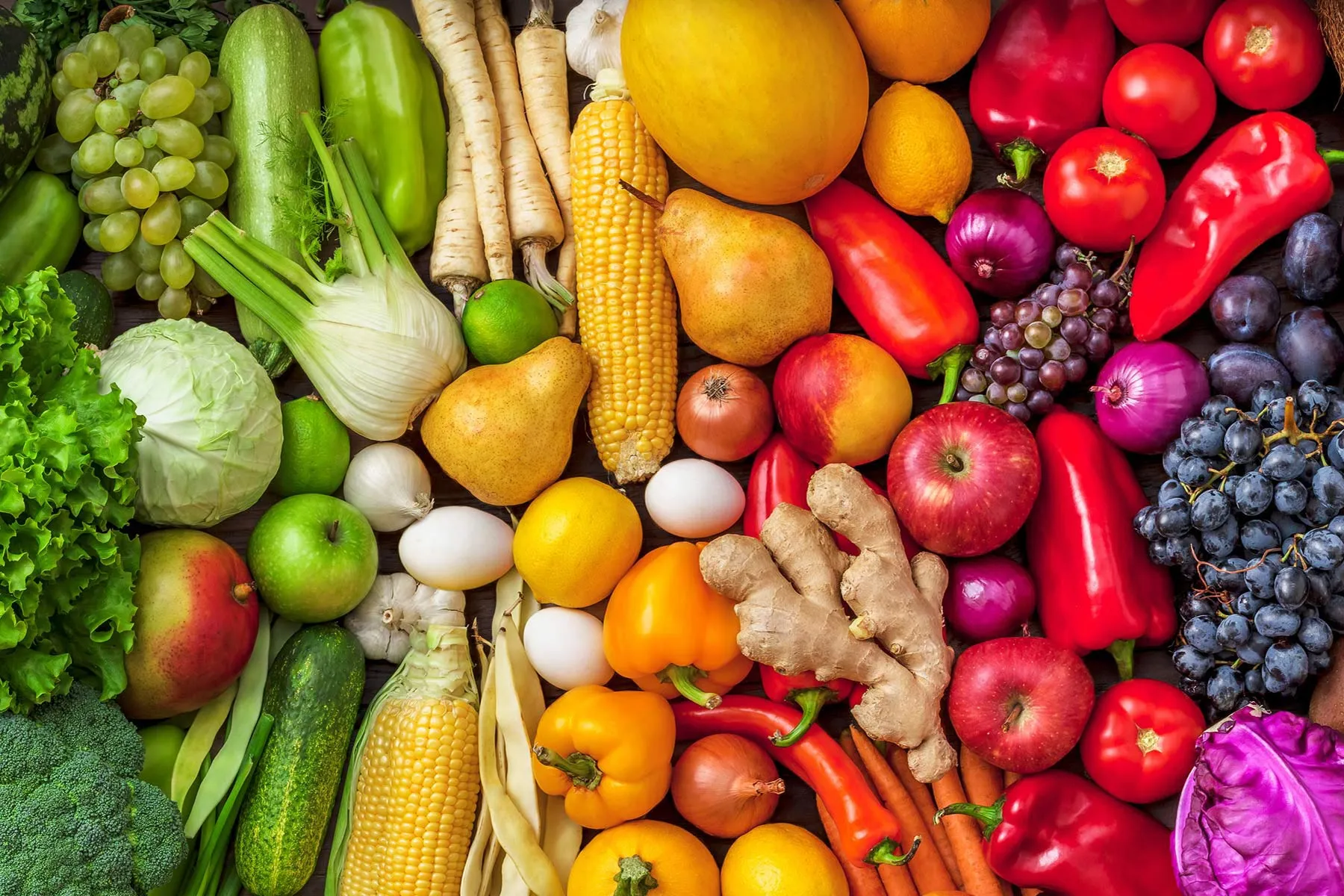 A New Information to Wholesome Consuming A New Information to Wholesome Consuming