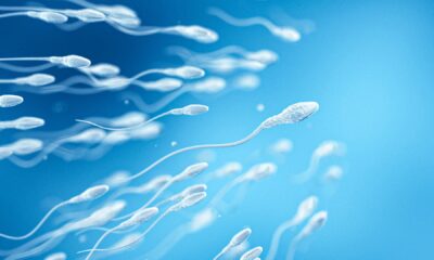 Sperm Donors Could Not Be as Nameless as They Suppose