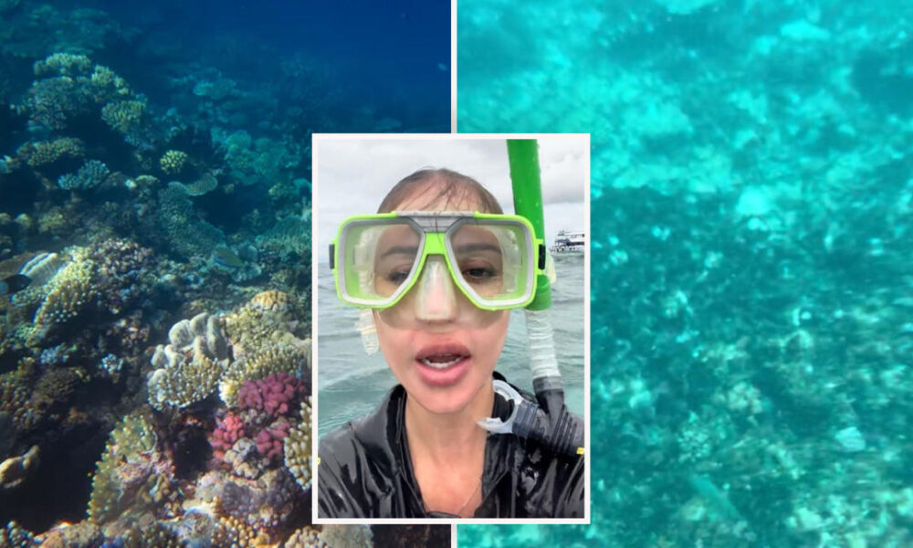 Vacationer ‘underwhelmed’ after visiting Nice Barrier Reef: ‘Not what you’d anticipate’