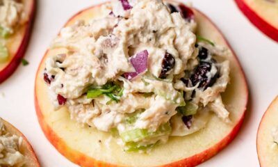 Cranberry Rooster Salad on Apple Slices 