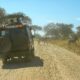 Learn how to Get to Serengeti Nationwide Park From Arusha