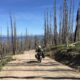 Purchaser’s Information: 8 Inexpensive ADV Motos