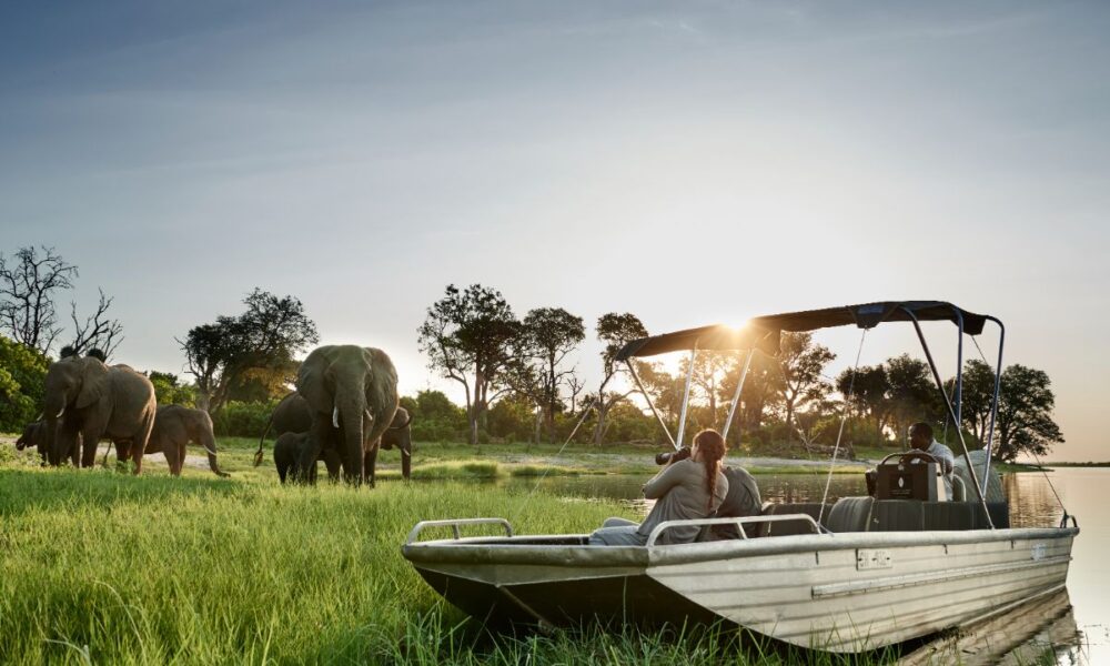 A luxurious safari with a tailored Africa itinerary