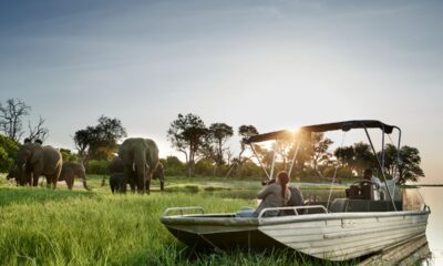 A luxurious safari with a tailored Africa itinerary