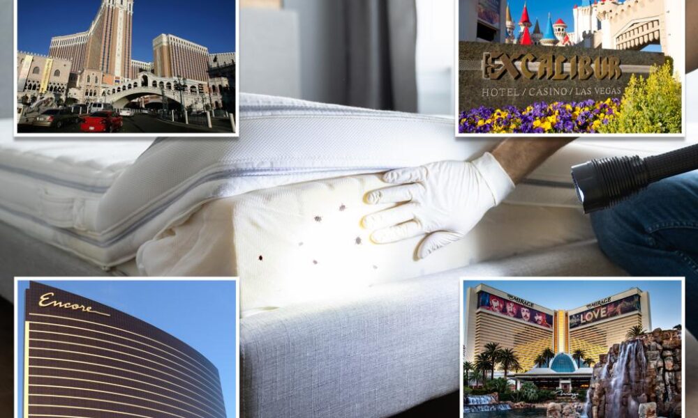 Mattress bugs discovered at 4 Las Vegas accommodations in 4 months