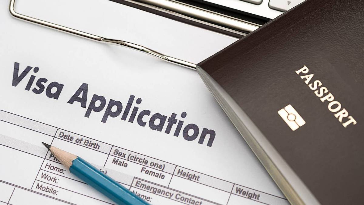 Searches for working visa, vacation visa and examine visa information revealed
