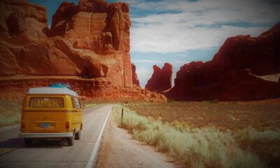 Your Final Information to Hiring a Automotive Overseas