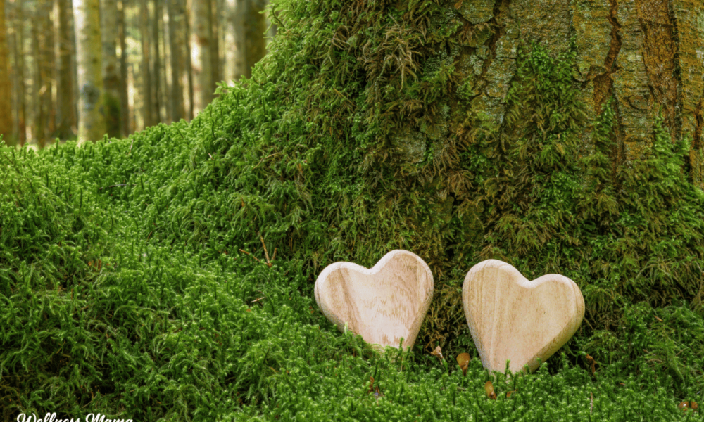 Why Decide For a Inexperienced Burial?
