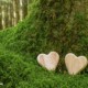 Why Decide For a Inexperienced Burial? Why Decide For a Inexperienced Burial?