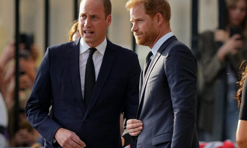 Royal knowledgeable reveals troubling motive Prince William refused to see Harry throughout brother’s whirlwind journey