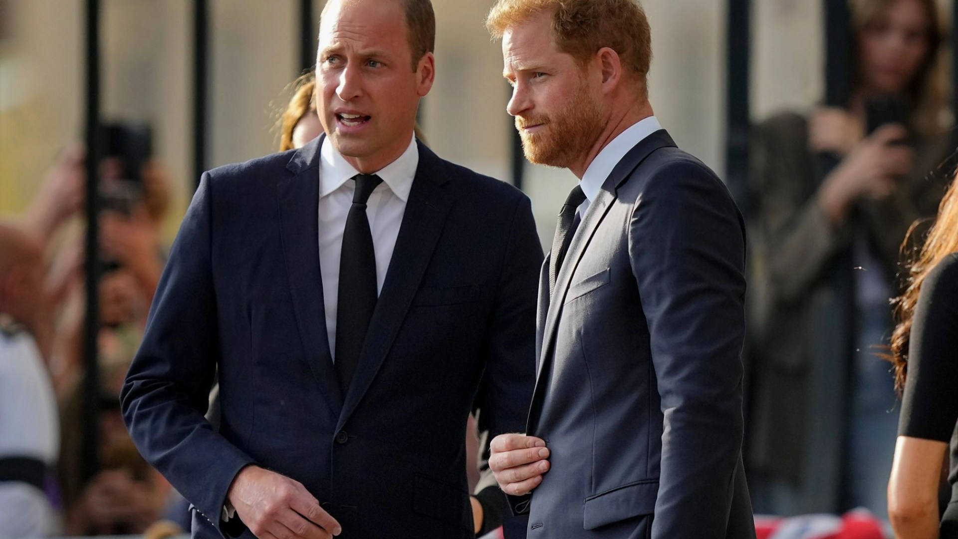 Royal knowledgeable reveals troubling motive Prince William refused to see Harry throughout brother’s whirlwind journey