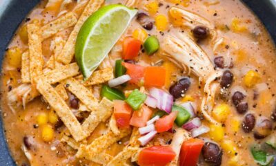 Gradual Cooker Hen Fajita Soup Recipe