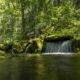 Kamikawa: Adventures within the Heart of Hokkaido