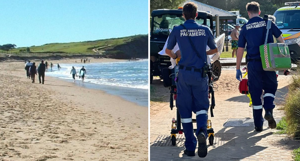 Mum bitten by venomous snake at fashionable household seashore