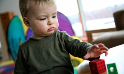 Feeding Chart, Meal Concepts, and Serving Sizes