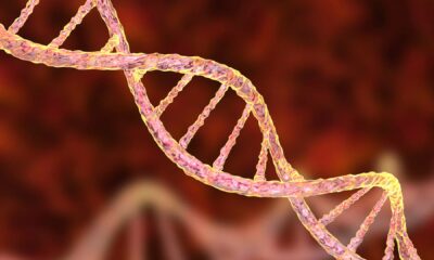 How Is Pompe Illness Inherited?