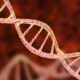 How Is Pompe Illness Inherited? How Is Pompe Illness Inherited?
