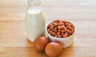 Xolair a New Weapon In opposition to Meals Allergic reactions, however Questions Stay