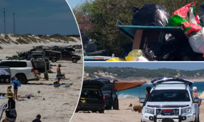 Seashore change might see Aussie drivers pay for entry