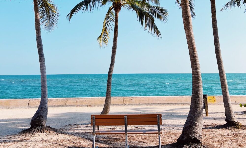 Florida Plans To Ban Unhoused From Sleeping On Public Property