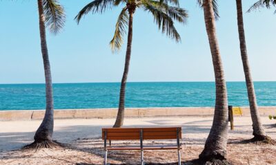 Florida Plans To Ban Unhoused From Sleeping On Public Property