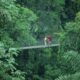 Touring to Costa Rica utilizing factors and miles Touring to Costa Rica utilizing factors and miles