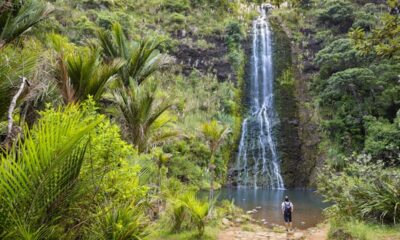 Journey to New Zealand with factors & miles 2024