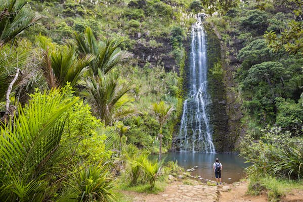 Journey to New Zealand with factors & miles 2024