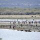 Prime 5 Nationwide Parks in Tanzania to Go to Prime 5 Nationwide Parks in Tanzania to Go to