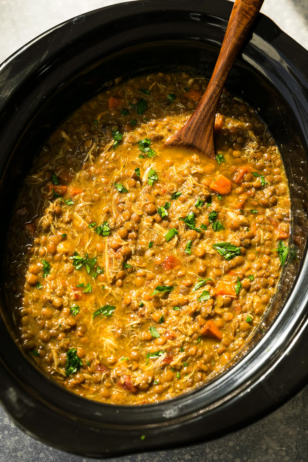 Gradual Cooker Hen and Lentil Soup