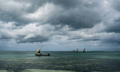 The place to go Snorkeling in Zanzibar