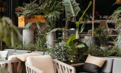 The Most Aesthetic Austin Eating places With a View
