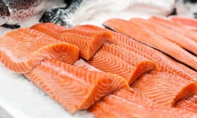 It is Time To Rethink Our Urge for food For King Salmon