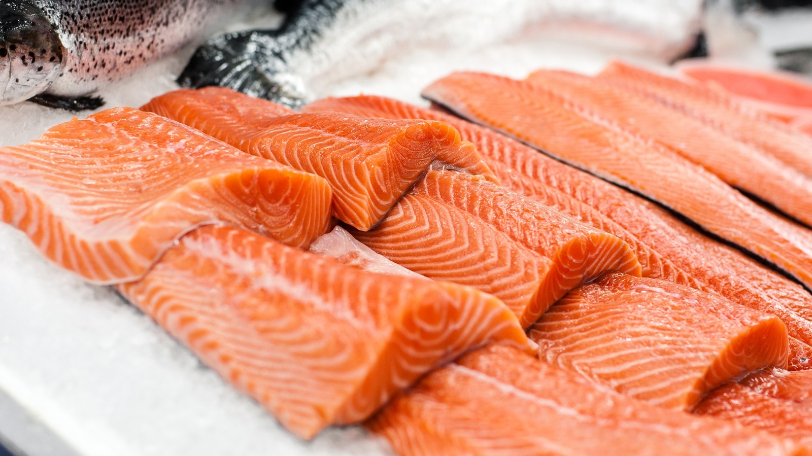 It is Time To Rethink Our Urge for food For King Salmon