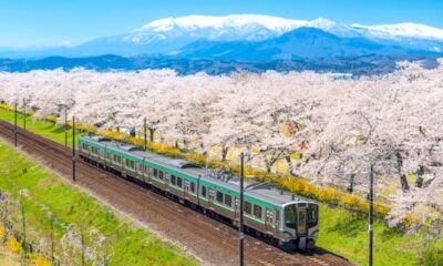 The important information to coach journey in Japan