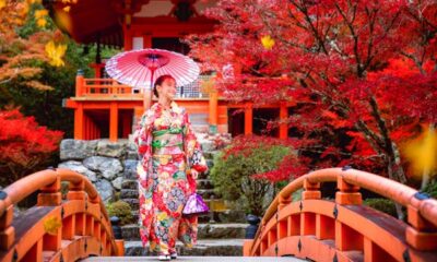 Finest time to go to Japan – Lonely Planet