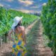 8 issues to know earlier than touring to Sardinia 8 issues to know earlier than touring to Sardinia
