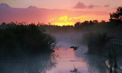 8 of the very best issues to do in Everglades Nationwide Park