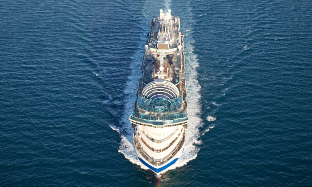 Princess Cruises Installs New Know-how In opposition to Meals Waste