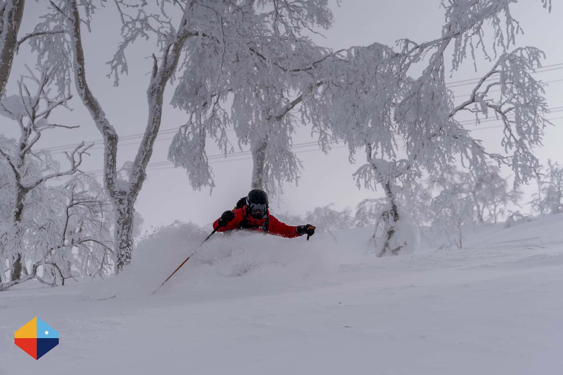 Newcomers Allowed: A JAPOW Paradise for Skiers of all Ranges