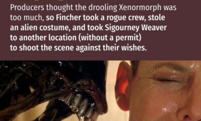 37 Weird Issues That Went Down Behind the Scenes of Your Favourite Motion pictures and TV Exhibits