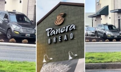 Viewers Defend Panera Buyer Who Can’t Determine Out Drive-Via