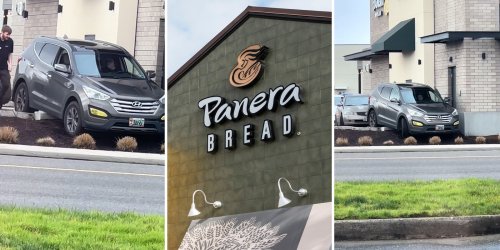 Viewers Defend Panera Buyer Who Can’t Determine Out Drive-Via