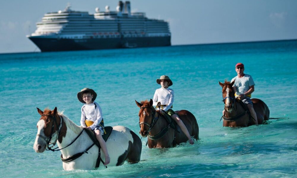 Would You Roll The Cube On A -A-Day Holland America Standby Cruise?