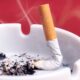 Treating and Managing Delicate COPD