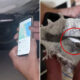 Household’s ‘terrifying’ discover on automotive after go to to Aussie airport: ‘Sleepless nights’
