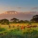 Tips on how to Plan a Finances Safari in Tanzania Tips on how to Plan a Finances Safari in Tanzania