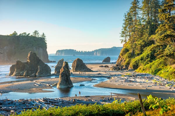 A primary-timer’s information to Olympic Nationwide Park, Washington
