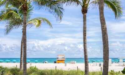 9 of the very best free issues to do in Miami