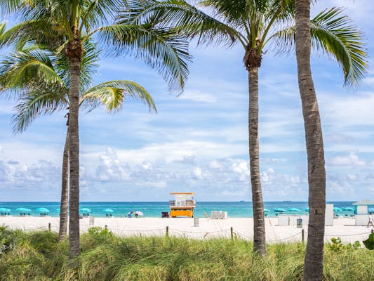 9 of the very best free issues to do in Miami 9 of the very best free issues to do in Miami